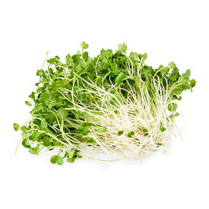 Radish Microgreens